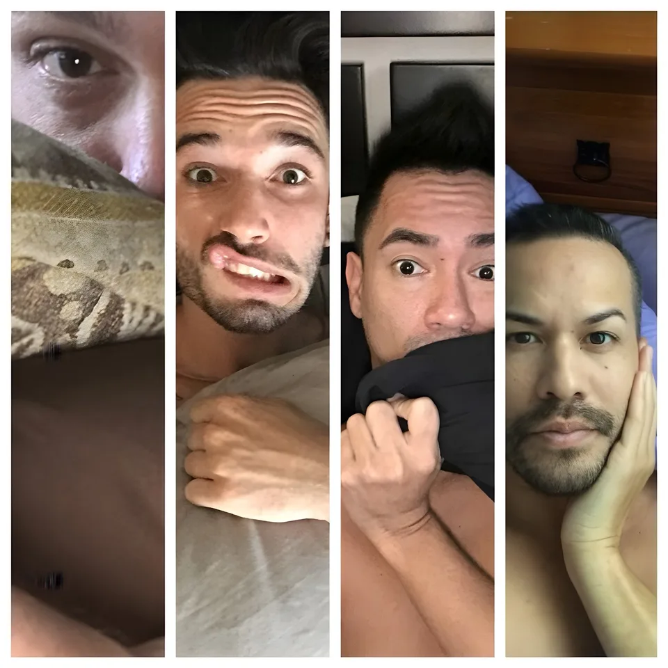 four-panel bed bro collage