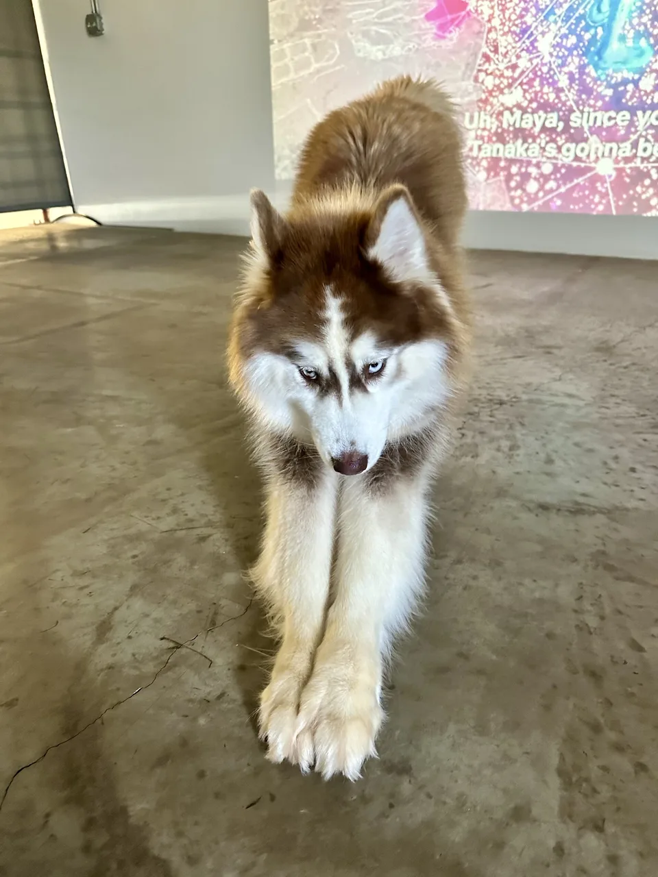Yuna stretching on a studio floor